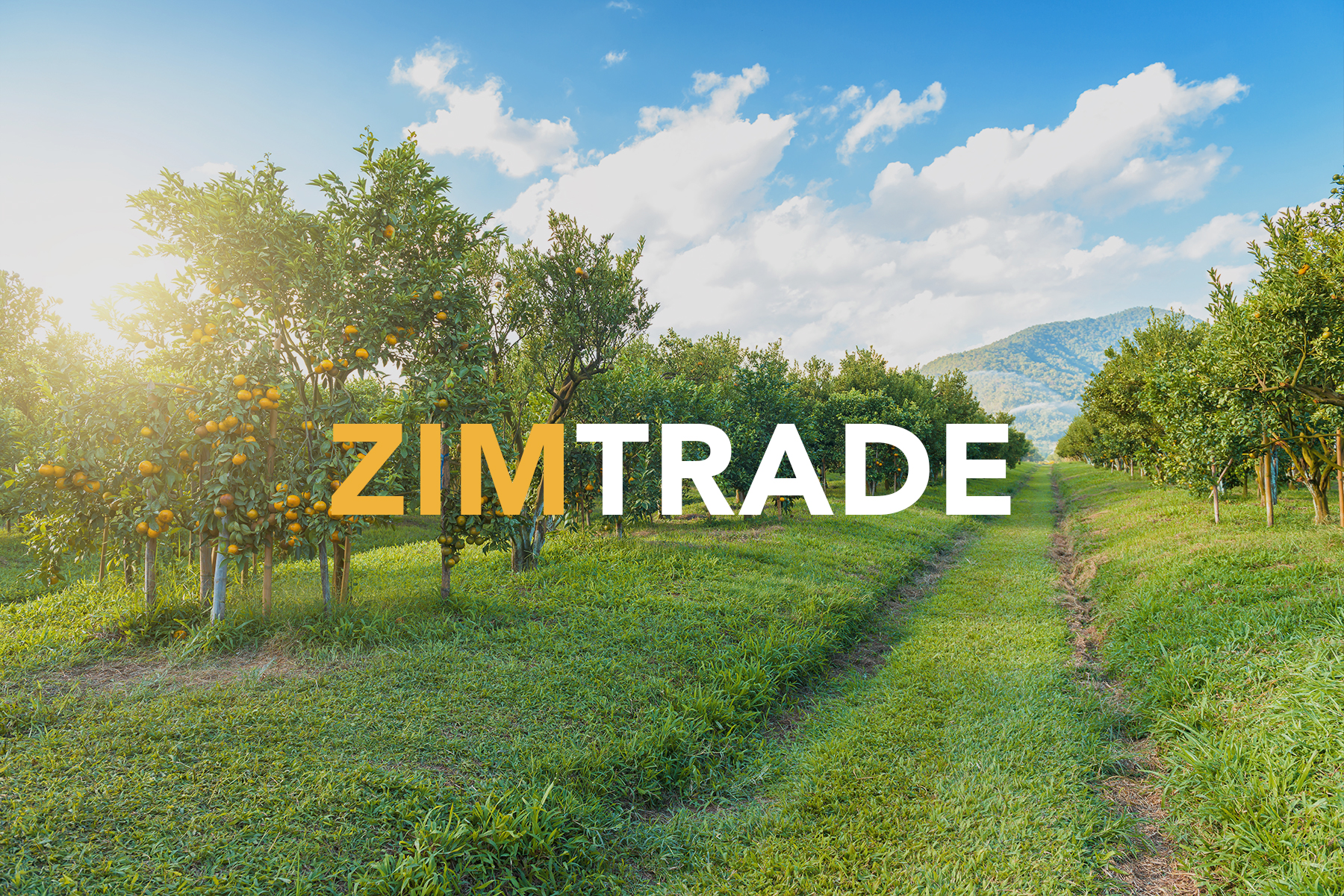 ZImtrade-banner-long