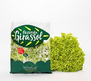 0000628_alface-frisada_300