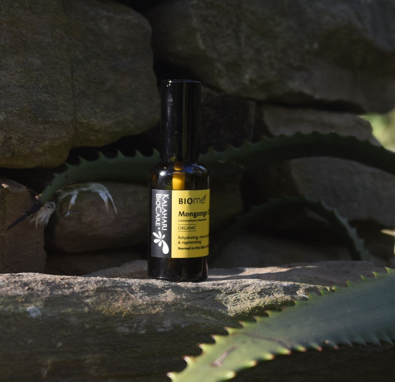 _DSC8900 MGG 50ml�60