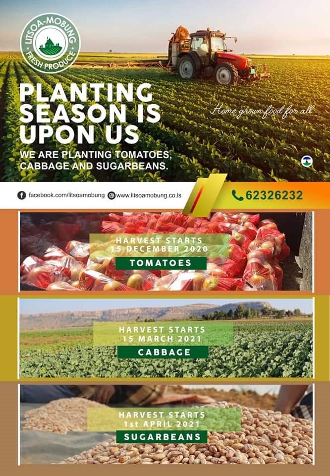 Litsamobung Products Picture