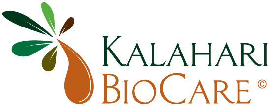 logo-kbc-colour x2