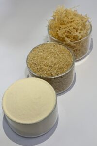 chip to powder chip to powder