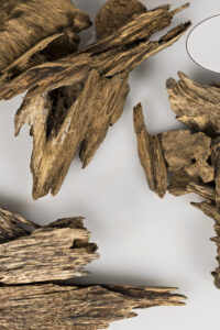 oudwood_tabii_2 oudwood_tabii_2
